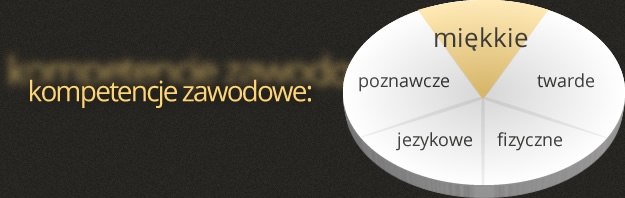 kompetencje zawodowe